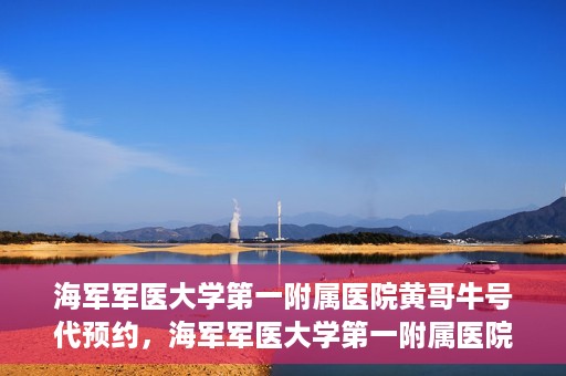 海军军医大学第一附属医院黄哥牛号代预约，海军军医大学第一附属医院黄哥预约挂号新动向，便捷代预约服务