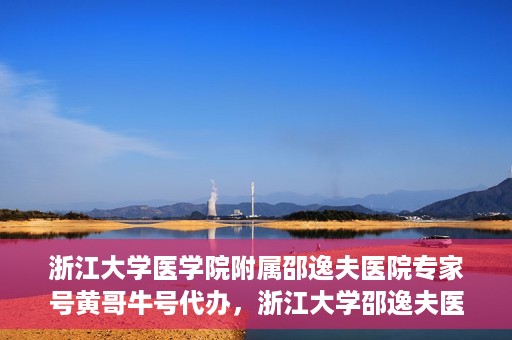 浙江大学医学院附属邵逸夫医院专家号黄哥牛号代办，浙江大学邵逸夫医院专家号代办服务揭秘，黄哥牛号助您轻松预约专家资源
