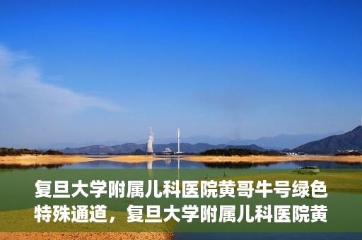 复旦大学附属儿科医院黄哥牛号绿色特殊通道，复旦大学附属儿科医院黄哥牛号，绿色特殊通道的温暖守护