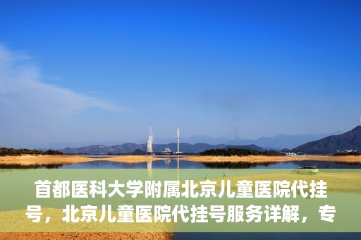 首都医科大学附属北京儿童医院代挂号，北京儿童医院代挂号服务详解，专业医疗与便捷服务的结合
