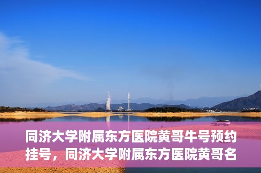 同济大学附属东方医院黄哥牛号预约挂号，同济大学附属东方医院黄哥名医牛号预约挂号攻略