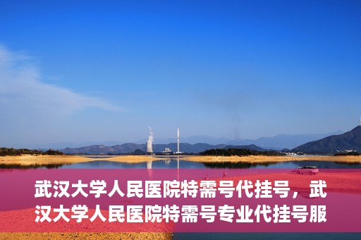 武汉大学人民医院特需号代挂号，武汉大学人民医院特需号专业代挂号服务