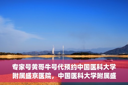 专家号黄哥牛号代预约中国医科大学附属盛京医院，中国医科大学附属盛京医院专家号黄哥牛号代预约服务解析