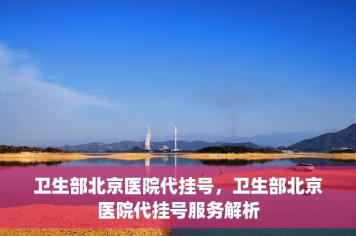 卫生部北京医院代挂号，卫生部北京医院代挂号服务解析