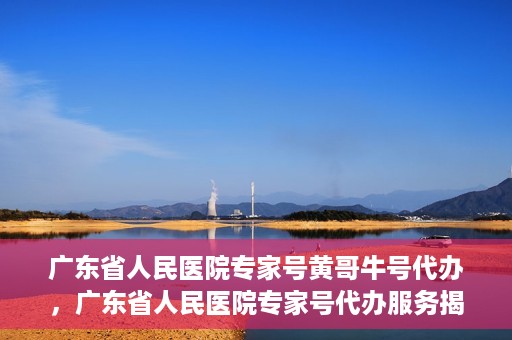 广东省人民医院专家号黄哥牛号代办，广东省人民医院专家号代办服务揭秘，黄哥牛号助您轻松预约专家号