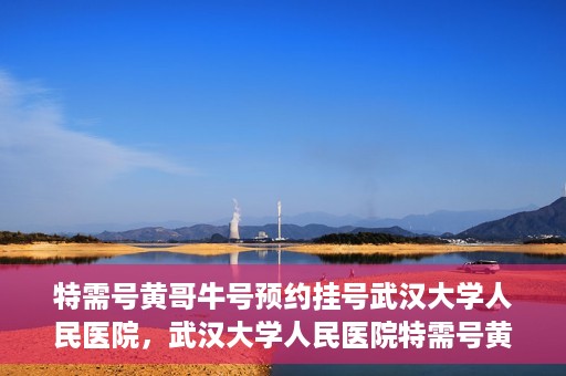 特需号黄哥牛号预约挂号武汉大学人民医院，武汉大学人民医院特需号黄哥牛号预约挂号服务开启