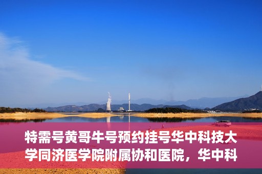 特需号黄哥牛号预约挂号华中科技大学同济医学院附属协和医院，华中科技大学同济医学院附属协和医院特需号黄哥牛号预约挂号服务启动
