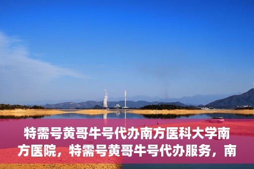 特需号黄哥牛号代办南方医科大学南方医院，特需号黄哥牛号代办服务，南方医科大学南方医院就医指南