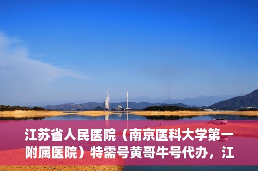 江苏省人民医院（南京医科大学第一附属医院）特需号黄哥牛号代办，江苏省人民医院特需号黄哥牛号代办服务解析