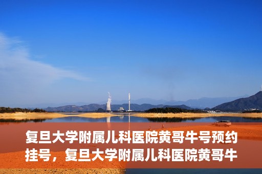 复旦大学附属儿科医院黄哥牛号预约挂号，复旦大学附属儿科医院黄哥牛号预约挂号攻略解析