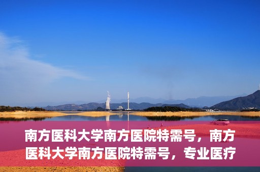 南方医科大学南方医院特需号，南方医科大学南方医院特需号，专业医疗服务的典范之选