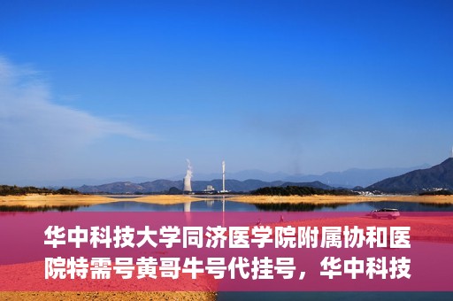 华中科技大学同济医学院附属协和医院特需号黄哥牛号代挂号，华中科技大学同济医学院附属协和医院特需号黄哥牛号代挂号服务解析