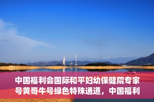 中国福利会国际和平妇幼保健院专家号黄哥牛号绿色特殊通道，中国福利会国际和平妇幼保健院专家黄哥牛号，绿色特殊通道助力健康中国行动