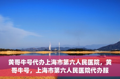 黄哥牛号代办上海市第六人民医院，黄哥牛号，上海市第六人民医院代办服务专业信赖