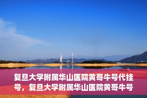 复旦大学附属华山医院黄哥牛号代挂号，复旦大学附属华山医院黄哥牛号代挂号服务详解