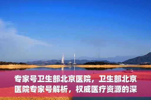 专家号卫生部北京医院，卫生部北京医院专家号解析，权威医疗资源的深度解读