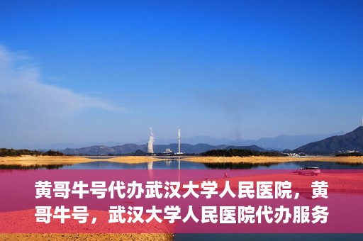 黄哥牛号代办武汉大学人民医院，黄哥牛号，武汉大学人民医院代办服务解析
