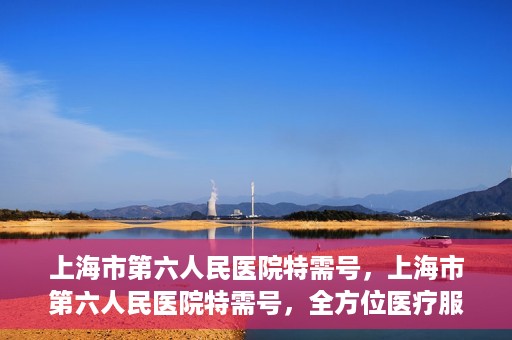 上海市第六人民医院特需号，上海市第六人民医院特需号，全方位医疗服务的深度解读