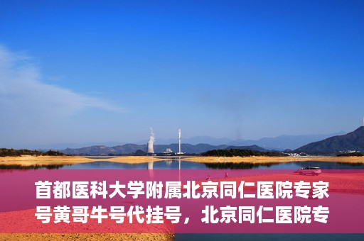首都医科大学附属北京同仁医院专家号黄哥牛号代挂号，北京同仁医院专家黄哥牛号代挂号攻略，专业医疗资源的便捷通道