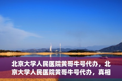 北京大学人民医院黄哥牛号代办，北京大学人民医院黄哥牛号代办，真相揭秘与深度解读