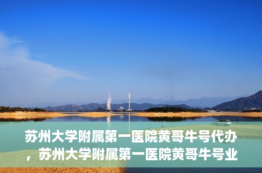 苏州大学附属第一医院黄哥牛号代办，苏州大学附属第一医院黄哥牛号业务代办攻略