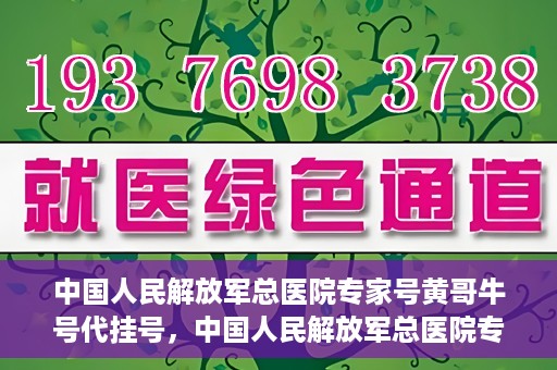 中国人民解放军总医院专家号黄哥牛号代挂号，中国人民解放军总医院专家号黄哥牛号代挂号服务解析