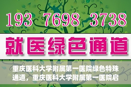 重庆医科大学附属第一医院绿色特殊通道，重庆医科大学附属第一医院启动绿色特殊通道，高效医疗服务的探索与实践