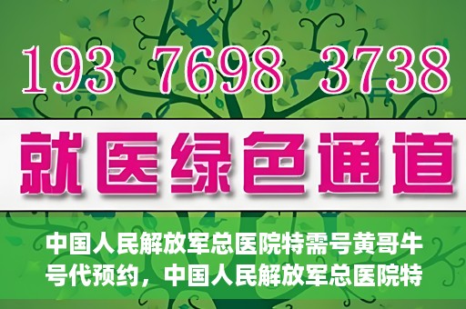 中国人民解放军总医院特需号黄哥牛号代预约，中国人民解放军总医院特需号专家预约服务解析，黄哥牛号预约详解