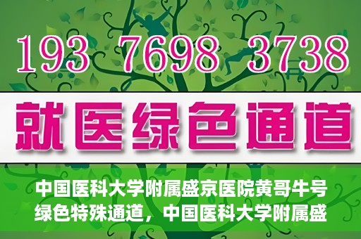 中国医科大学附属盛京医院黄哥牛号绿色特殊通道，中国医科大学附属盛京医院黄哥牛号，绿色特殊通道开启健康之门
