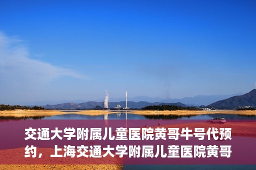 交通大学附属儿童医院黄哥牛号代预约，上海交通大学附属儿童医院黄哥牛号预约指南，轻松预约，关爱儿童健康之路