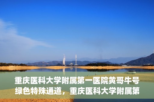 重庆医科大学附属第一医院黄哥牛号绿色特殊通道，重庆医科大学附属第一医院黄哥牛号绿色特殊通道，就医新选择
