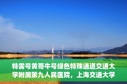 特需号黄哥牛号绿色特殊通道交通大学附属第九人民医院，上海交通大学附属第九人民医院特需号绿色特殊通道——黄哥牛号服务体验之旅