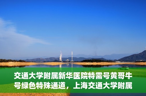 交通大学附属新华医院特需号黄哥牛号绿色特殊通道，上海交通大学附属新华医院特需号黄哥牛号，绿色就医特殊通道解析