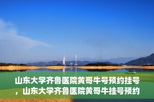 山东大学齐鲁医院黄哥牛号预约挂号，山东大学齐鲁医院黄哥牛挂号预约攻略