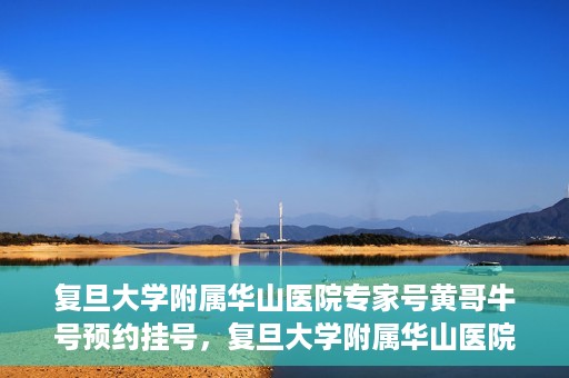 复旦大学附属华山医院专家号黄哥牛号预约挂号，复旦大学附属华山医院专家黄哥牛号预约攻略，轻松挂号，专业诊疗体验