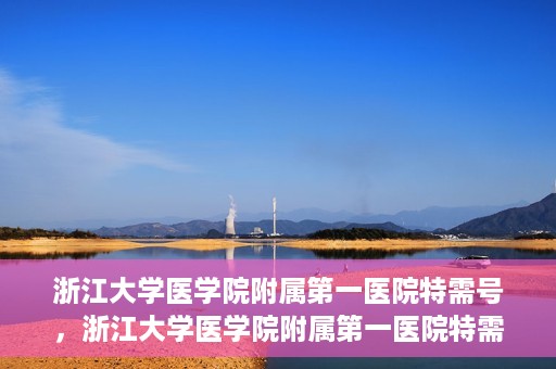 浙江大学医学院附属第一医院特需号，浙江大学医学院附属第一医院特需门诊挂号服务解析