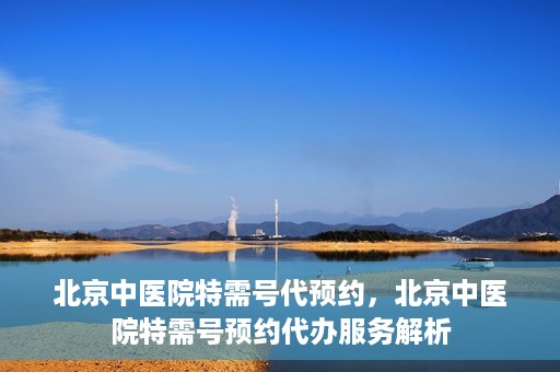 北京中医院特需号代预约，北京中医院特需号预约代办服务解析