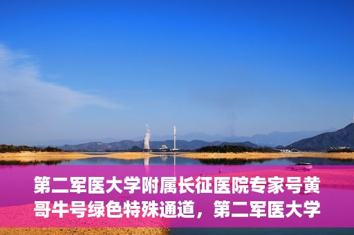 第二军医大学附属长征医院专家号黄哥牛号绿色特殊通道，第二军医大学附属长征医院专家号黄哥牛号，绿色特殊通道的医学力量