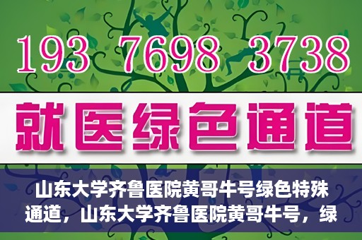 山东大学齐鲁医院黄哥牛号绿色特殊通道，山东大学齐鲁医院黄哥牛号，绿色特殊通道开启健康之门