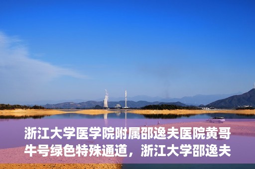 浙江大学医学院附属邵逸夫医院黄哥牛号绿色特殊通道，浙江大学邵逸夫医院绿色特殊通道，黄哥牛号引领医疗新风尚