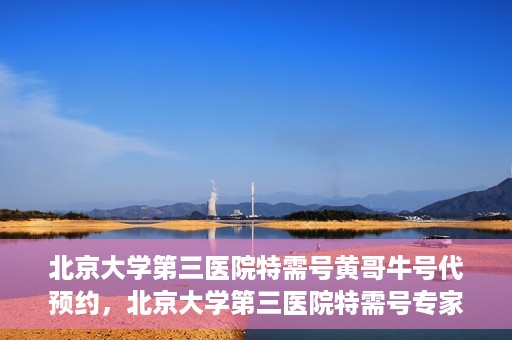 北京大学第三医院特需号黄哥牛号代预约，北京大学第三医院特需号专家黄哥预约服务解析