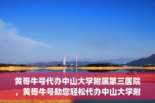 黄哥牛号代办中山大学附属第三医院，黄哥牛号助您轻松代办中山大学附属第三医院事务