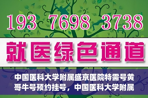 中国医科大学附属盛京医院特需号黄哥牛号预约挂号，中国医科大学附属盛京医院特需号专家黄哥牛号预约挂号攻略