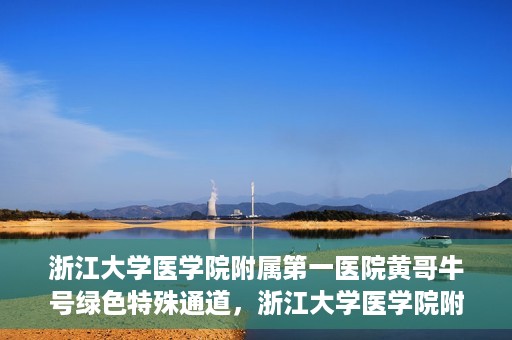 浙江大学医学院附属第一医院黄哥牛号绿色特殊通道，浙江大学医学院附属第一医院绿色特殊通道，黄哥牛号引领医疗创新之路