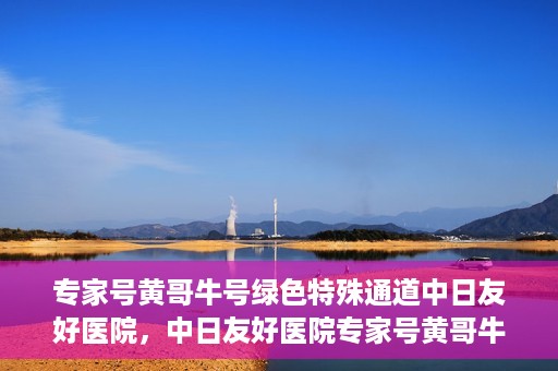 专家号黄哥牛号绿色特殊通道中日友好医院，中日友好医院专家号黄哥牛号开启绿色特殊通道，助力健康中日交流新篇章