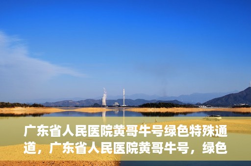 广东省人民医院黄哥牛号绿色特殊通道，广东省人民医院黄哥牛号，绿色特殊通道开启健康之门