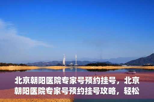 北京朝阳医院专家号预约挂号，北京朝阳医院专家号预约挂号攻略，轻松挂号，就医无忧
