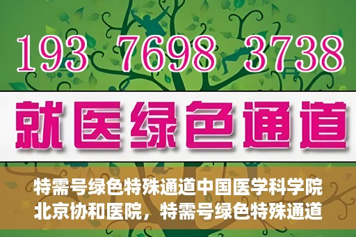 特需号绿色特殊通道中国医学科学院北京协和医院，特需号绿色特殊通道，中国医学科学院北京协和医院就医体验优化之路
