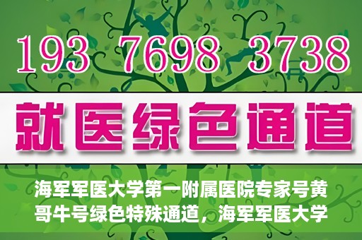 海军军医大学第一附属医院专家号黄哥牛号绿色特殊通道，海军军医大学第一附属医院专家号黄哥牛号，绿色特殊通道揭秘