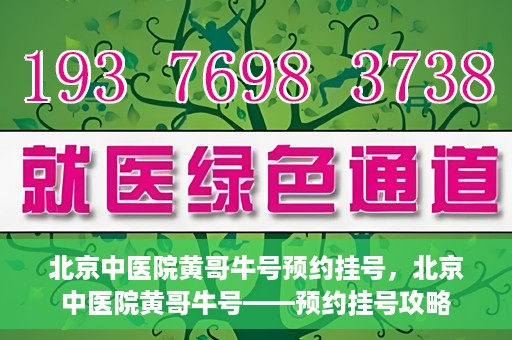 北京中医院黄哥牛号预约挂号，北京中医院黄哥牛号——预约挂号攻略